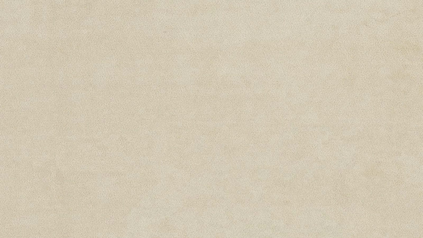 Lit adulte 180x200 en velours beige - Dina